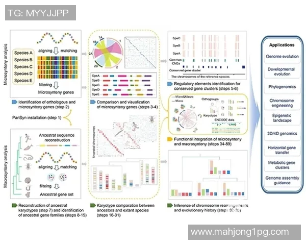 独家解析LNG在国际市场中的战术对比及其未来发展趋势